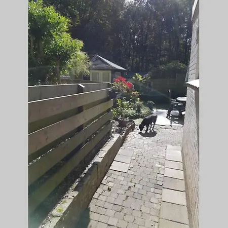 Tuinhuisje Appartement
