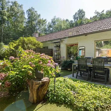 Apartmán Tuinhuisje *