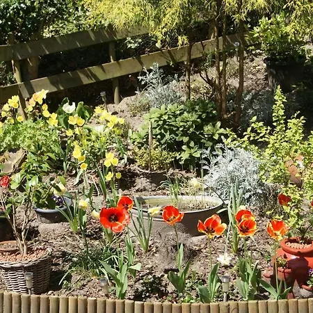 Tuinhuisje Apartmán Naarden