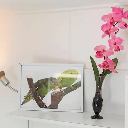 Apartmán Tuinhuisje